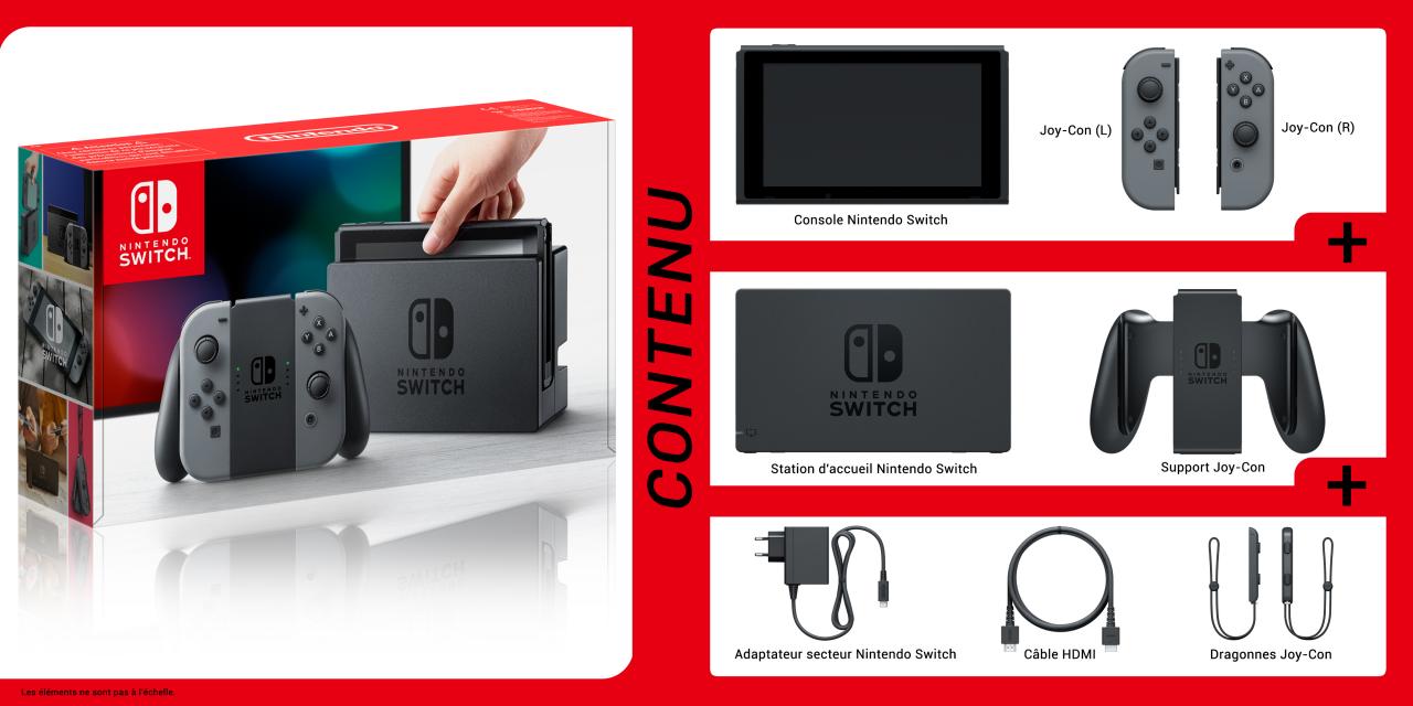 NintendoSwitch_BoxContent_G_FR