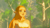 The legend of zelda breath of the wild nintendo switch